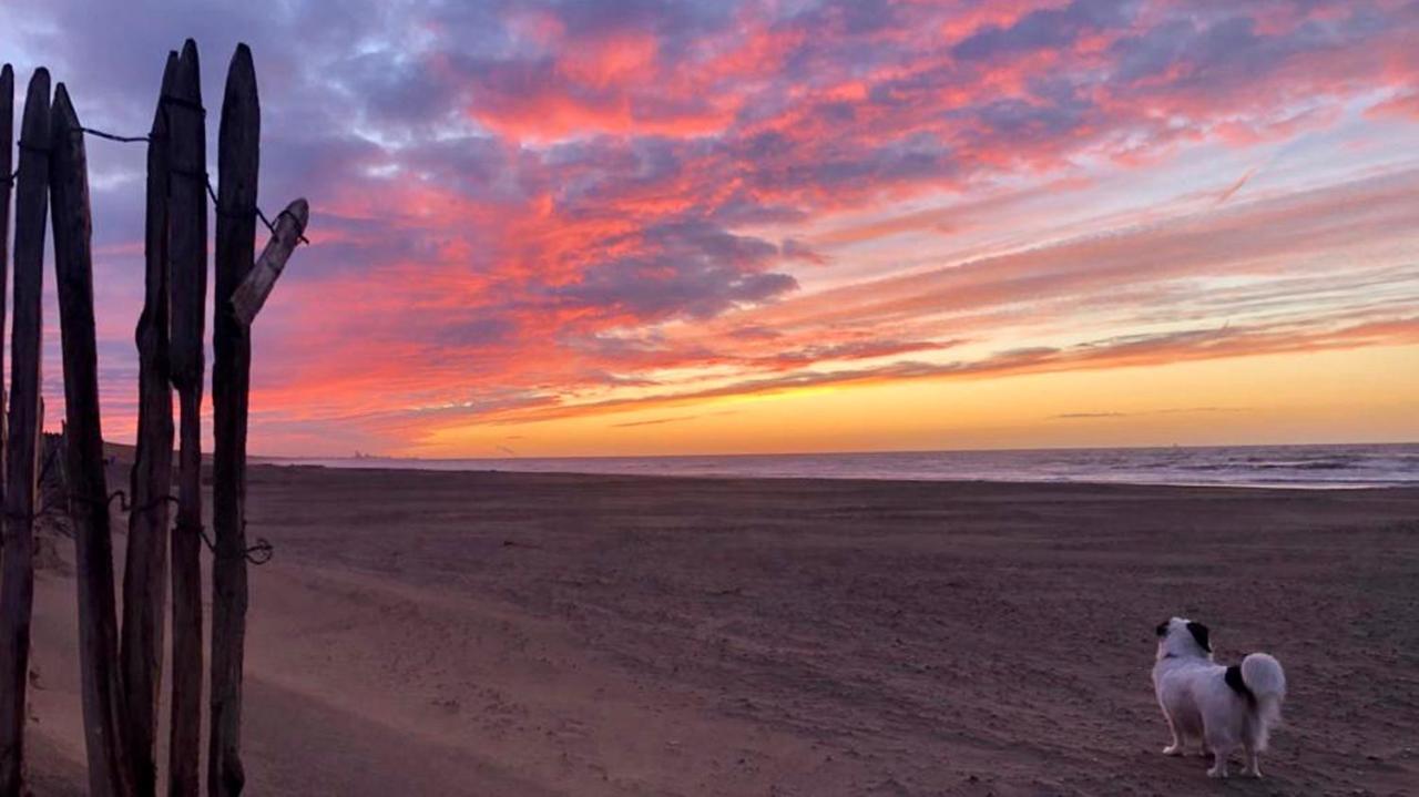 Beach House For You - Luxe Verblijf, 5 Min Van Het Strand Katwijk aan Zee Ngoại thất bức ảnh